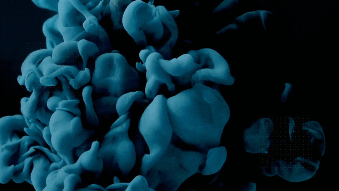 Demo GIF